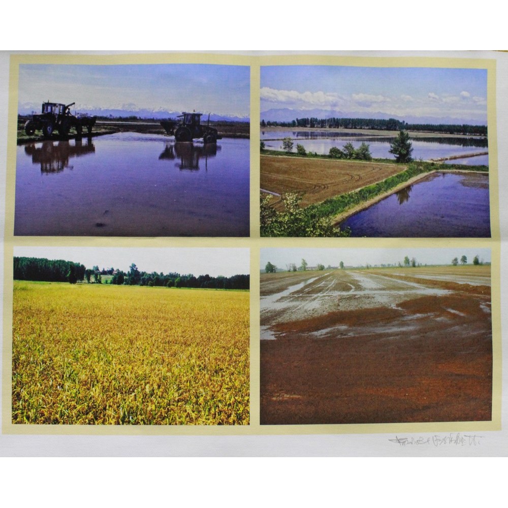GARGHETTI FABRIZIO " L'ACQUA CHE NUTRE IL CHICCO DI RISO "